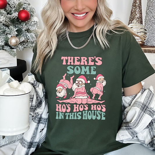 There's Some Ho's Ho's Ho's in the House | DTF Transfer - Mint Print Shop